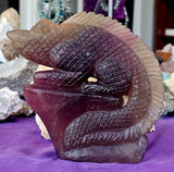 XL Rainbow Fluorite Crystal Lizard on Rock Sculpture 🪨💜☪️🦎🤩🌈