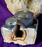 LG. Purple Agate Crystal Druzy Snake on Rock Carving 🐍🤯✨💥🤩🪨