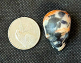 Yellow Zebra Jasper Crystal Mini Skull 💀 🦓💛🤍🖤✨