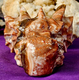 XL Mixed Calcite Crystal Dragon Skull Carving ✨🐲❤️🤍🤯🐉💀