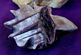✨RARE✨ MD. Grade A++ Purple Mica Crystal Turtle Carving 🐢✨ 🤩 🤯 💜🐢