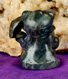 Labradorite Kitty Grim Reaper w/Gold Sheen Obsidian Crystal Raven Figurine 😍🐦‍⬛✨🥹🐈💀