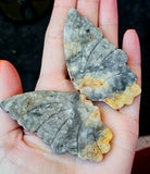 Crazy Lace Agate Crystal Butterfly on Black Metal Display Stand ✨🖤🦋💛
