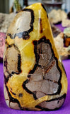 LG. UV Reactive Polished Septarian Crystal Freeform 💛✨🤩🖤