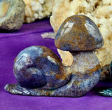 MD. Ocean Jasper Crystal Snail w/Skull Carving 💀💛💜🤎🐌🪸🌊