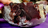 LG. Raw Red Capped Hematoid Phantom Quartz Crystal Cluster 💎😍✨♥️🍒