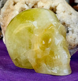 LG. Yellow Banded Fluorite Crystal Skull ☠️💀🟡💛