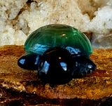 Rainbow Fluorite Crystal Turtle Carving 🐢💜💙💛💚🔮🐢✨