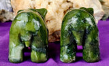 MD. Nephrite Jade Crystal Bear Carving 💚✨🐻🐨