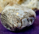 Raw/Polished Blue & Black Sphalerite Crystal Freeform w/Druzies ✨🤍💙✨🖤