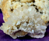 Raw Flowering Dogtooth Calcite Crystal Specimen 🦷🌸✨🐶