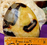 UV Reactive Septarian Crystal Freeform w/Druzies 💛✨🤩🤯🖤💎
