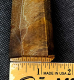 Thick Tigers Eye Crystal Tower 🐾🐅👁️🍂