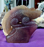 XL Rainbow Fluorite Crystal Lizard on Rock Sculpture 🪨💜☪️🦎🤩🌈