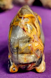 Crazy Lace Agate Crystal Fish Carving 🐠💛✨🩶🐟