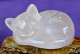 MD. Rose Quartz Crystal Sleeping Kitty Cat Carving ✨🐈🐾😴😺🌹