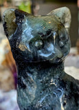 XXL Labradorite Crystal Cat Sitting on Skull Statue ☠️💀🐈🐾✨🤩