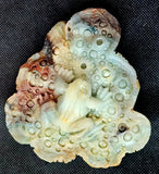 XL Caribbean Calcite Crystal Frog on Flower Carving ✨🐸🤯🤩💎🐚🌊🪸🐸
