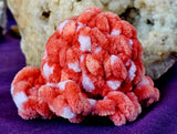 Handmade Crocheted Strawberries and Cream Octobaby Plushie 🦑🥹🐙