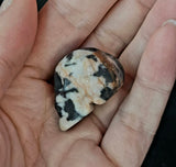 Yellow Zebra Jasper Crystal Mini Skull 💀 🦓💛🤍🖤✨