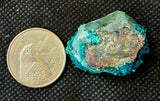 Raw Chrysocolla Crystal in Matrix Specimen ✨🤩💎🩵