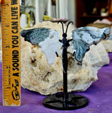 Tree Agate Crystal Butterfly on Black Display Stand 🤍✨🦋🖤🌿