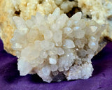 Raw Flowering Dogtooth Calcite Crystal Specimen 🦷🌸✨🐶