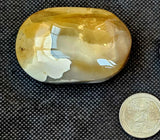 Mookaite Jasper Crystal Palmstone ✨⚜️💛