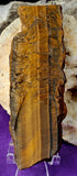 LG. Tigers Eye Lapidary Grade Partially Polished/Raw Crystal Slab 👁️✨🤩🐅🐯⚜️