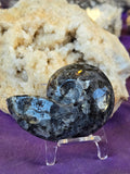 Larvikite Crystal Shell 🩶✨🌘🐚🖤