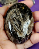 Black Moonstone Crystal Palmstone 🌘🌚🌙✨🖤