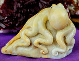 Caribbean Calcite Crystal Octopus on Rock Carving 🐙🪸🪨🌊🐚🦑