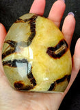 UV Reactive Septarian Crystal Freeform w/Druzies 💛✨🤩🤯🖤💎