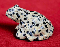 Dalmatian Jasper Crystal Frog Figurine 🐸