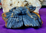 XL Caribbean Calcite Crystal Frog on a Flower Carving ✨🌊🐸🐚💚🩵