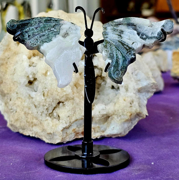 Tree Agate Crystal Butterfly on Black Display Stand 🤍✨🦋🖤🌿