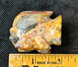 Crazy Lace Agate Crystal Fish Carving 🐠💛✨🩶🐟