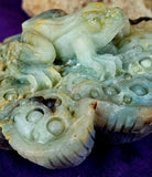 XL Caribbean Calcite Crystal Frog on Flower Carving ✨🐸🤯🤩💎🐚🌊🪸🐸