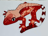 LG. Red Flaming Crested Gecko Sticker ♥️🔥🦎🍒
