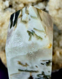Tree Agate Obelisk Crystal Tower 💚✨🤩🤍🌿🌳