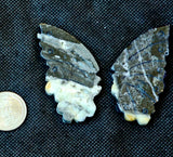 Crazy Lace Agate Crystal Butterfly Carving on Black Metal Display Stand #2 🖤🦋💛✨🤍