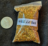 Fresh Cut & Dried Organic Wild Lettuce 🥬🌰🌿