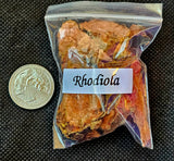 Fresh Cut & Dried Organic Rhodiola Herb 🌿🌰🍄