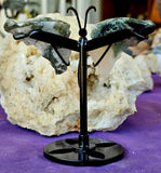 Tree Agate Crystal Butterfly on Black Display Stand 🤍✨🦋🖤🌿
