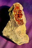 Raw Vanadinite in Dendritic Feldspar Crystal Specimen ✨💖💥❣️