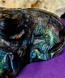 LG. Rainbow Flash Labradorite Crystal Lizard Basking on Rock Carving #1 🦎🩶🌈🪨✨🤩