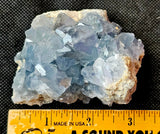 Raw Celestite Crystal Geode Specimen ✨🩵💎✨💙