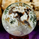 LG. Tree Agate Crystal Sphere 💚🔮✨🌳🤩