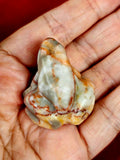 Red Veined Jasper Crystal Frog Figurine 🐸