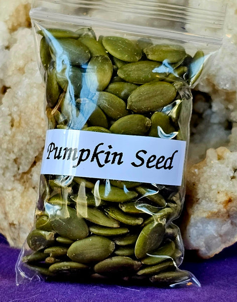 Fresh Cut & Dried Organic Pumpkin Seeds Herb 🌿🌰🎃🍄